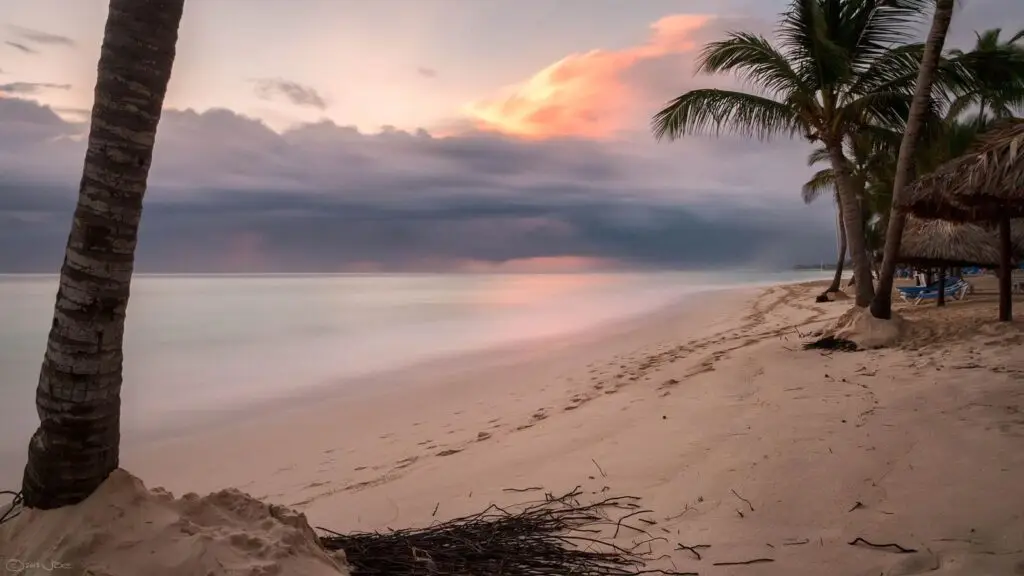 Palmera al atardecer en una playa de Punta Cana