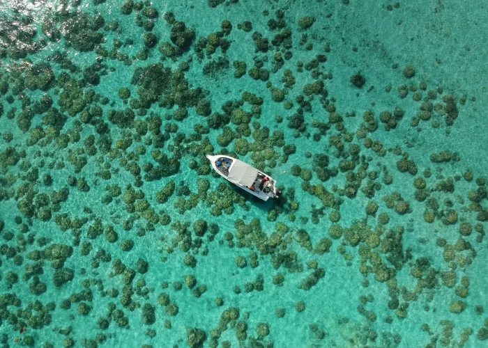 pexels-alex-1858121-3525724